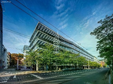 Pronájem kanceláře 364 m²