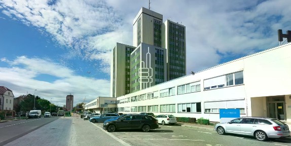 Pronájem kanceláře 162 m²