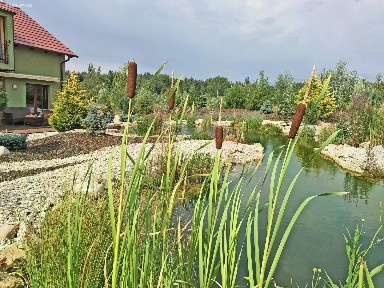 Pronájem bytu 3+kk 52 m² Dříteč