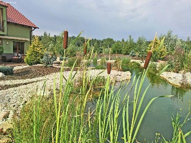 Dříteč