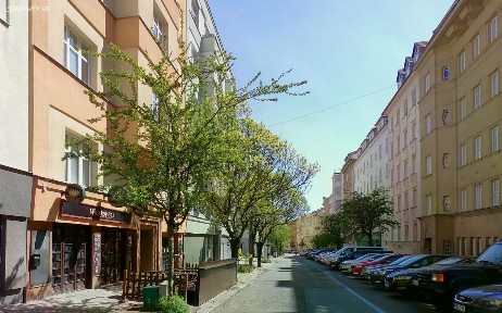Pronájem bytu 1+1 45 m² Gorkého, Brno - Veveří