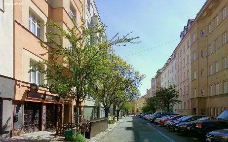 Gorkého, Brno - Veveří