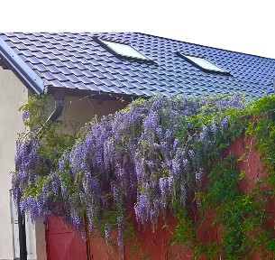Prodej rodinného domu 124 m², pozemek 166 m² Břežany I