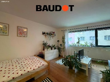 Pronájem bytu 1+kk 40 m² Cihlářská, Brno - Veveří
