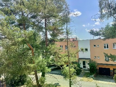 Pronájem bytu 3+1 81 m²