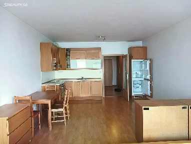 Pronájem bytu 1+kk 44 m² Panuškova, Praha - Krč