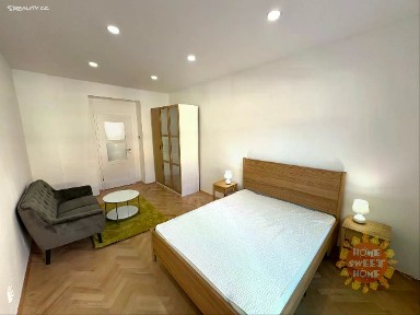 Pronájem bytu 1+1 41 m² Milíčova, Praha - Žižkov