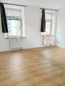 Pronájem bytu 1+1 45 m² Slovanská, Plzeň - Východní Předměstí