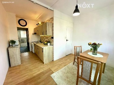 Pronájem bytu 2+1 61 m² Mánesova, České Budějovice - České Budějovice 7