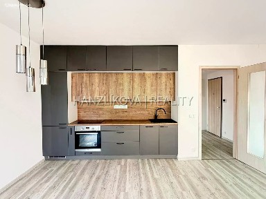 Pronájem bytu 2+kk 49 m² Hálkova, České Budějovice - České Budějovice 3