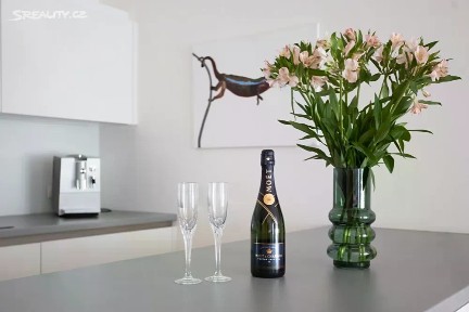 Pronájem bytu 4+kk 96 m² Biskupská, Ostrava - Moravská Ostrava