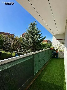 Albrechtická, Most