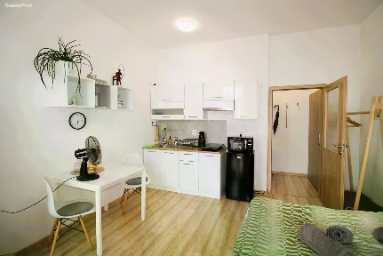 Pronájem bytu 1+kk 21 m² Vlhká, Brno - Zábrdovice