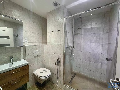 Prodej bytu 1+1 38 m² Nové Sedlo