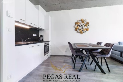 Pronájem bytu 1+kk 48 m² Košinova, Brno - Královo Pole