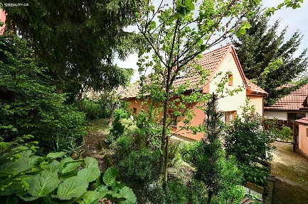 Lužická, Nelahozeves - Lešany