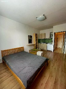 Pronájem bytu 1+kk 25 m² Nad lesním divadlem, Praha - Braník