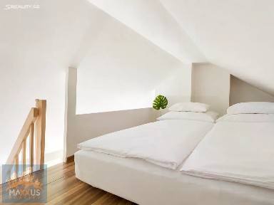 Pod Kaštany, Praha - Dejvice