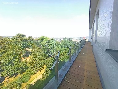 Pronájem bytu 5+1 204 m² Chopinova, Praha - Vinohrady