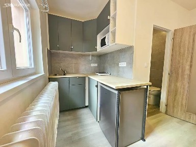 Pronájem bytu 1+kk 15 m² Pod Marjánkou, Praha - Břevnov