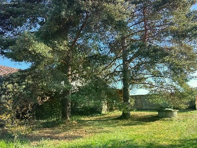 Mladošovice - Petrovice