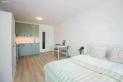 Pronájem bytu 1+kk 33 m² Hvězdová, Brno - Zábrdovice