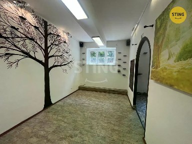 Pronájem obchodního prostoru 44 m²