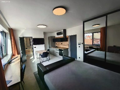 Pronájem bytu 1+kk 30 m² Šmejkalova, Brno - Žabovřesky