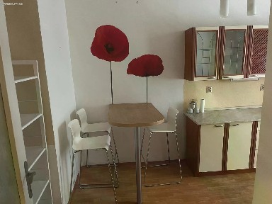 Pronájem bytu 1+1 45 m² Malá Štěpánská, Praha - Nové Město