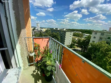 Prodej bytu 3+1 71 m² Pod Lipami, Praha - Žižkov