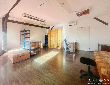 Pronájem bytu pokoje 33 m² Palackého třída, Brno - Královo Pole