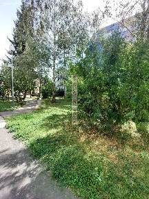 Prodej bytu 1+1 37 m² Potoky, Zlín