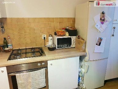 Pronájem bytu 1+1 45 m² Františka Kadlece, Praha - Libeň