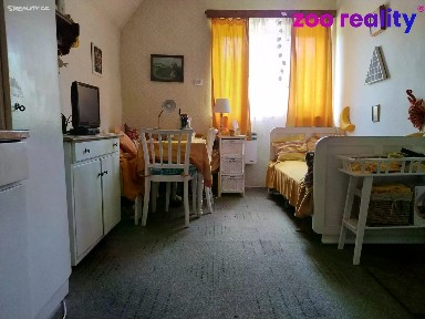 Prodej bytu 1+1 40 m² Loučovice