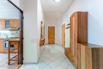 Pronájem bytu 2+1 58 m² Vídeňská, Brno - Štýřice