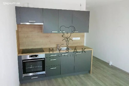 Pronájem bytu 1+kk 21 m² U Trojice, České Budějovice - České Budějovice 3