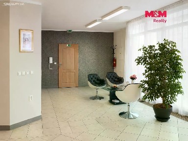 Pronájem obchodního prostoru 146 m²