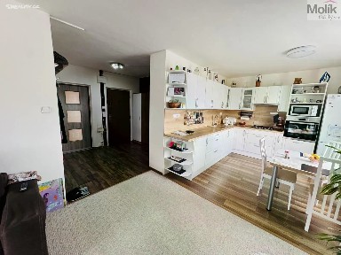 Prodej bytu 3+kk 59 m² Josefa Ševčíka, Most