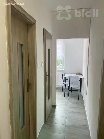 Pronájem bytu 1+1 39 m²