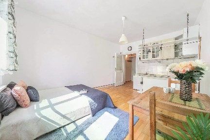 Pronájem bytu 1+kk 28 m² Jana Želivského, Praha - Žižkov