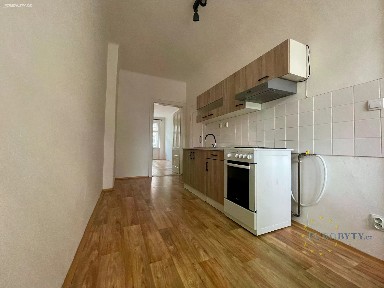 Pronájem bytu 1+1 41 m² Hájkova, Praha - Žižkov