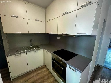 Pronájem bytu 1+1 40 m² Řipská, Praha - Vinohrady