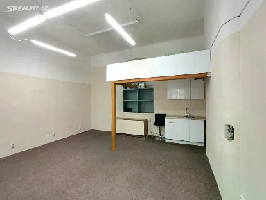 Pronájem obchodního prostoru 30 m² Jaromírova, Praha - Nusle
