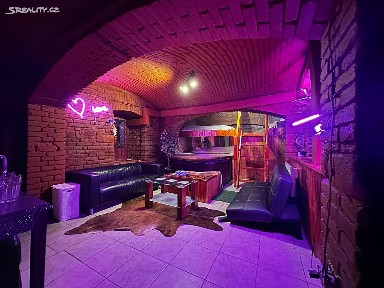 Pronájem ubytovacího zařízení 170 m² Chelčického, Praha - Žižkov