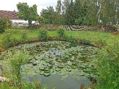 Načeradec - Olešná