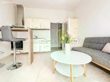 Prodej bytu 2+kk 40 m² U Boru, České Budějovice - České Budějovice 2