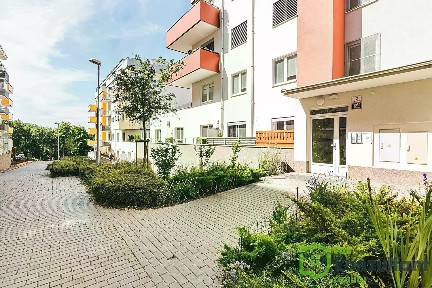 Pronájem bytu 1+kk 30 m² Lišejníková, Brno