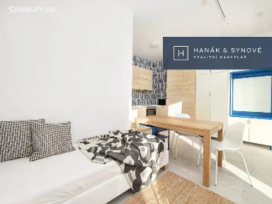Pronájem bytu 1+kk 25 m² Francouzská, Brno - Zábrdovice