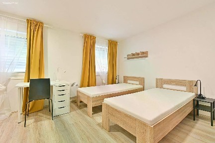 Brno, Brno-město, Staré Brno, Václavská