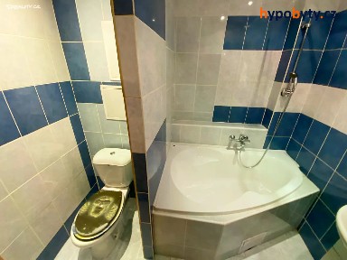 Prodej bytu 1+1 37 m² Dr. Martínka, Ostrava - Hrabůvka